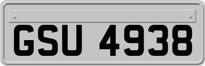 GSU4938