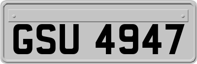 GSU4947