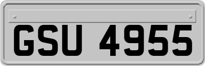 GSU4955