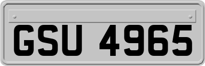 GSU4965