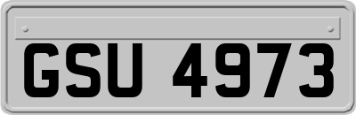 GSU4973