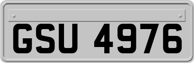 GSU4976
