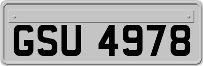 GSU4978