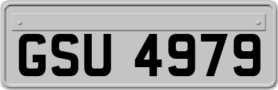 GSU4979