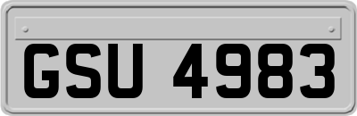GSU4983