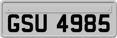 GSU4985