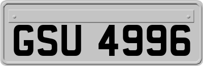 GSU4996
