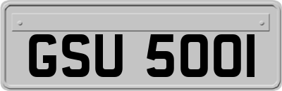 GSU5001