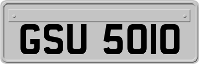 GSU5010