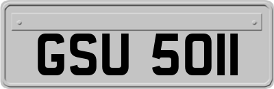 GSU5011
