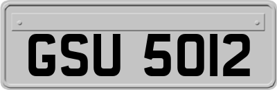 GSU5012