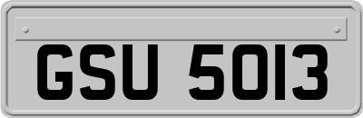 GSU5013