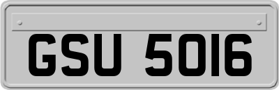GSU5016