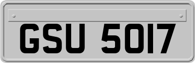 GSU5017