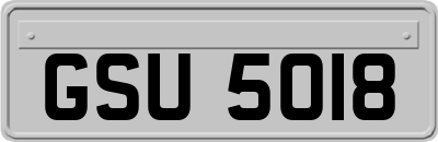 GSU5018