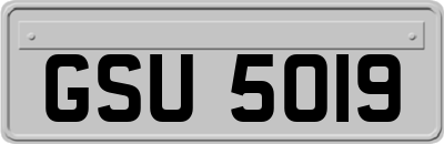 GSU5019