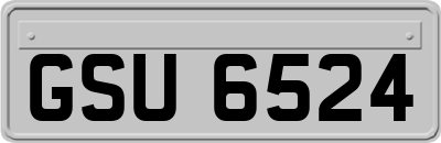 GSU6524