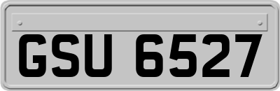 GSU6527