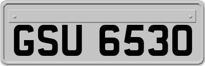GSU6530