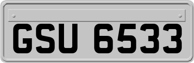 GSU6533