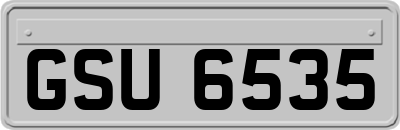 GSU6535