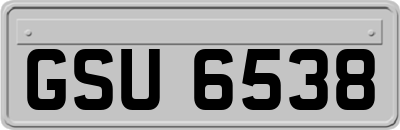 GSU6538