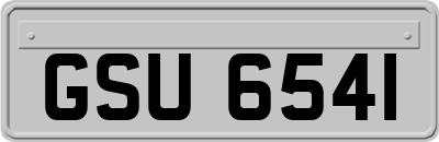 GSU6541