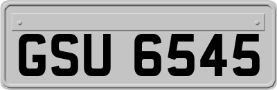 GSU6545
