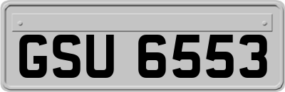 GSU6553
