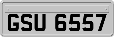 GSU6557