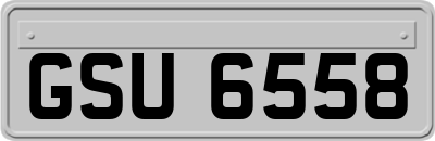 GSU6558
