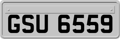 GSU6559