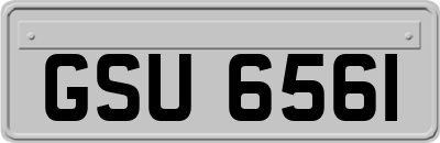 GSU6561