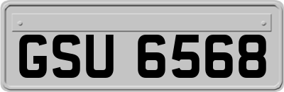 GSU6568