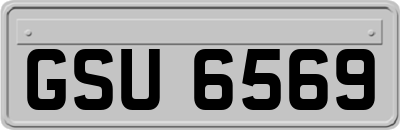 GSU6569