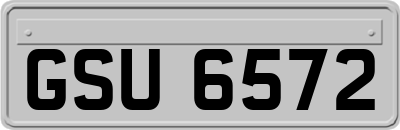 GSU6572