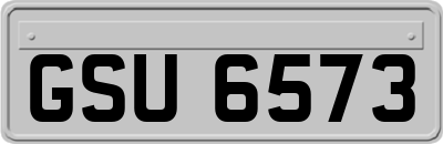 GSU6573