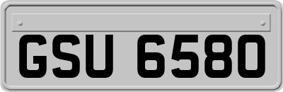 GSU6580