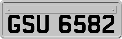 GSU6582
