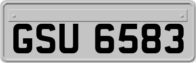 GSU6583
