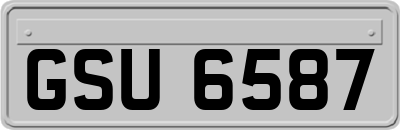 GSU6587