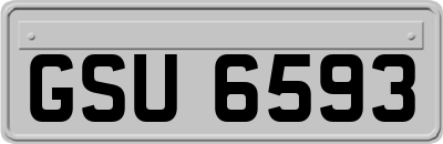 GSU6593