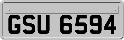 GSU6594