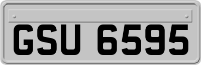 GSU6595