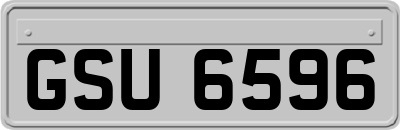 GSU6596