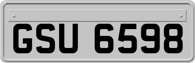 GSU6598