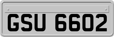 GSU6602