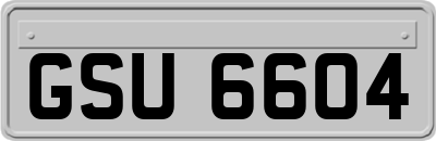 GSU6604
