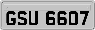 GSU6607