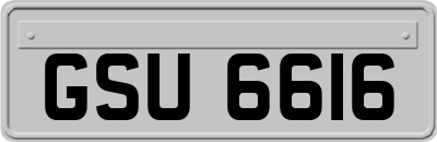 GSU6616